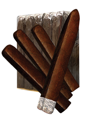 Big Dog - Nicaraguan Prime Select